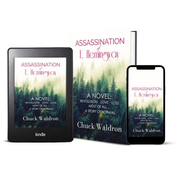 A book and an ebook displayed on the cover, showcasing both formats side by side for readers' convenience