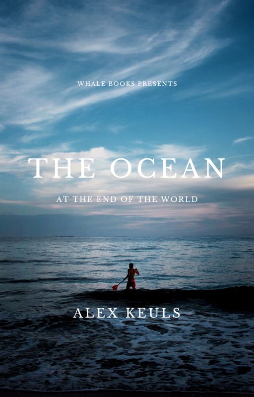 A breathtaking view of the ocean's edge captured by Alex Krulls, showcasing the beauty and vastness of the sea